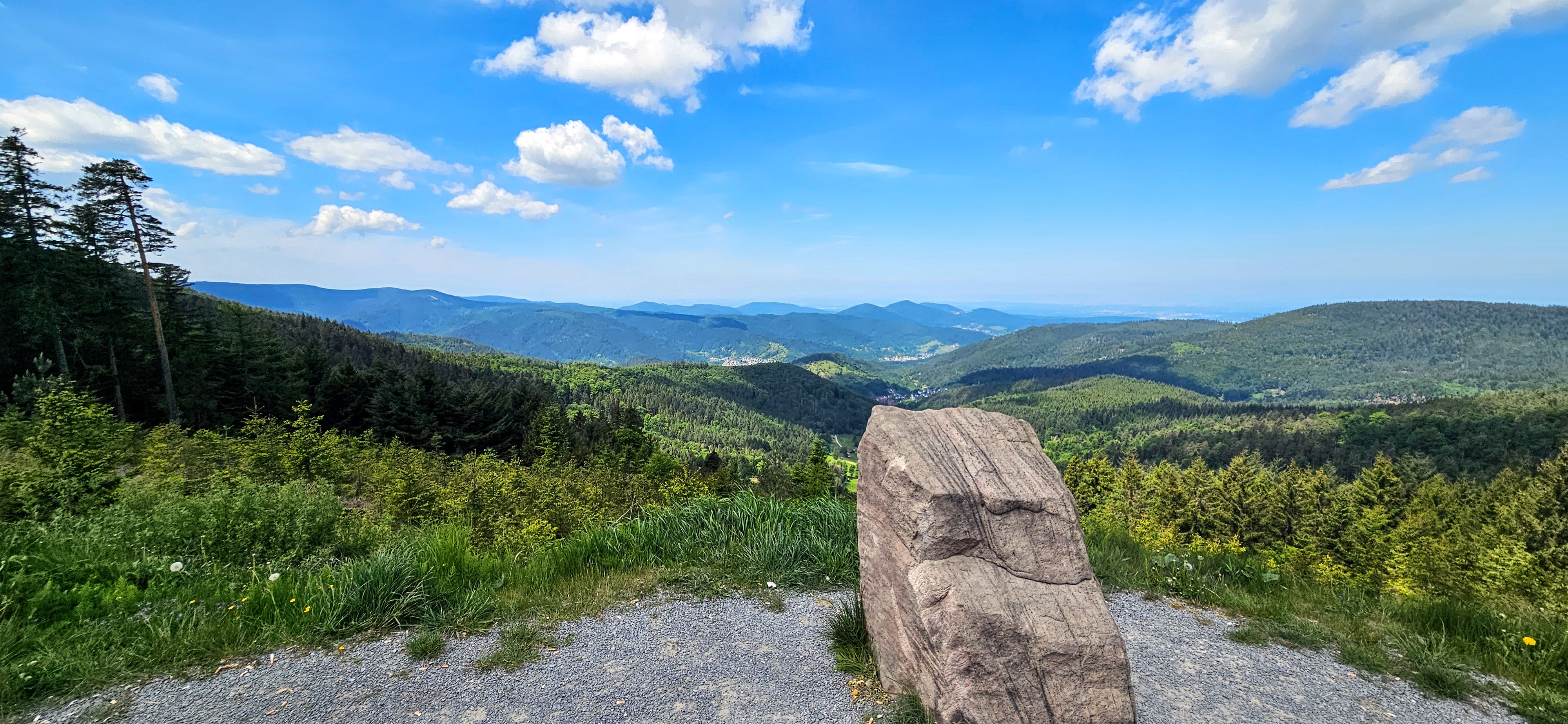 Ausblickspunkt bei Kaltenbronn